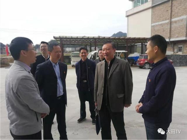 大田鎮(zhèn)最新領導團隊，引領未來，共筑輝煌，大田鎮(zhèn)領導團隊全新亮相，攜手共筑輝煌未來