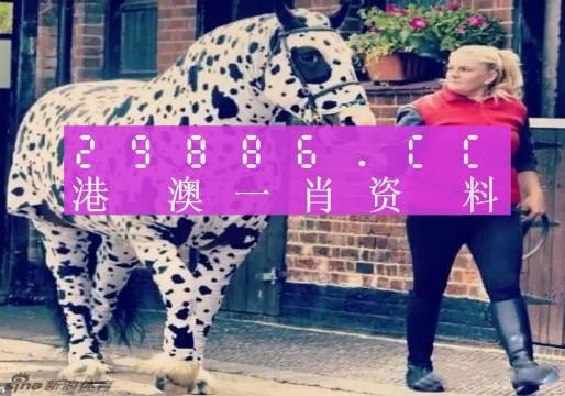 新澳王中王一肖一特一中，揭秘背后的秘密，揭秘新澳王中王一肖一特一中背后的秘密